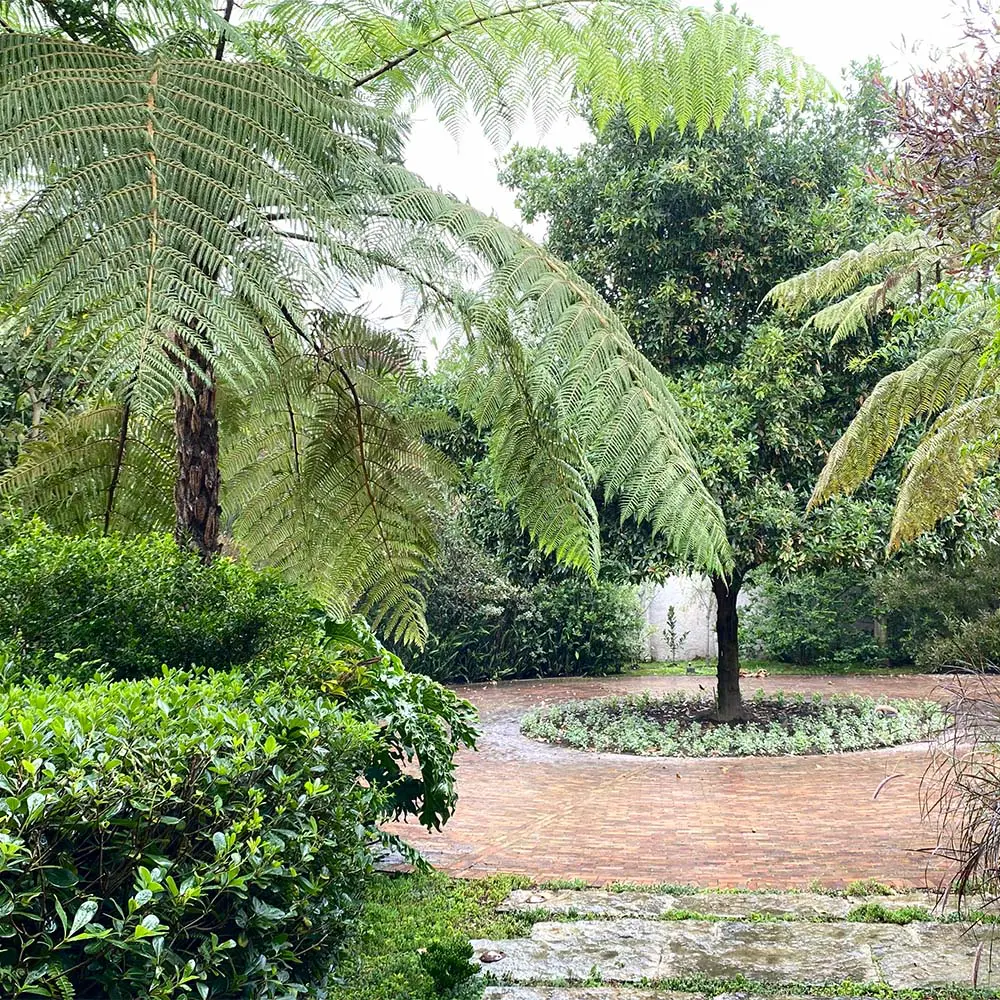 El agua como estructura: diana wiesner hace visible el paisaje urbano