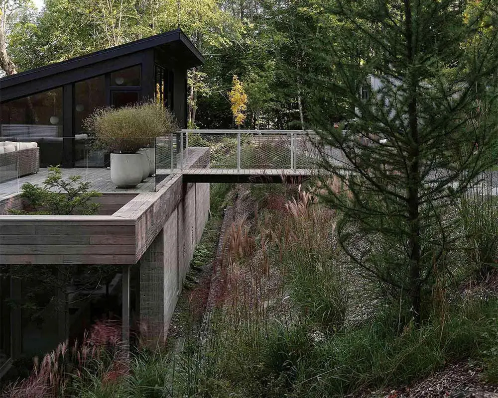 Una casa que emerge entre los árboles: arquitectura que nace del paisaje
