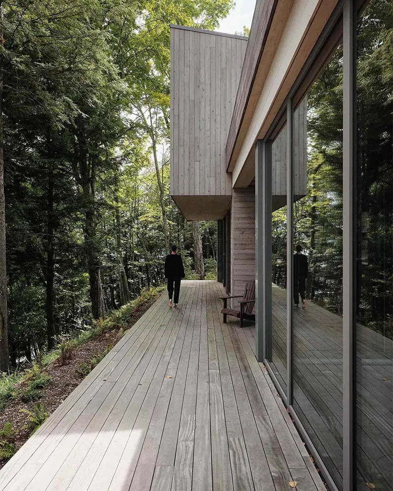 Una casa que emerge entre los árboles: arquitectura que nace del paisaje