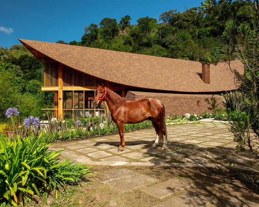 Una residencia en panamá inspirada en la forma de una hoja seca