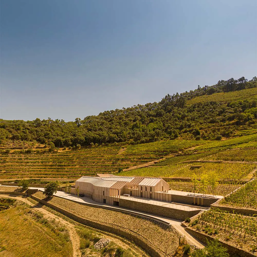 La bodega en portugal con un diseño inspirado en las curvas de los viñedos