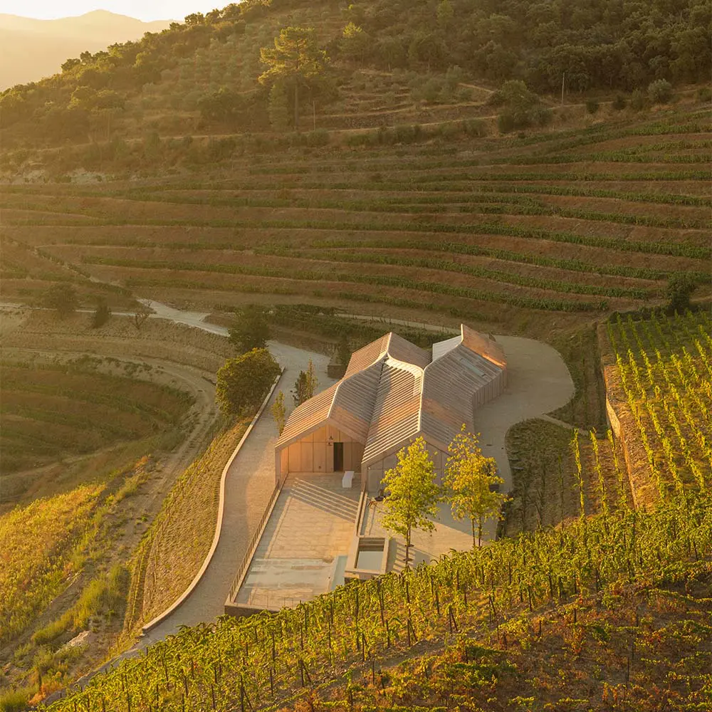 La bodega en portugal con un diseño inspirado en las curvas de los viñedos