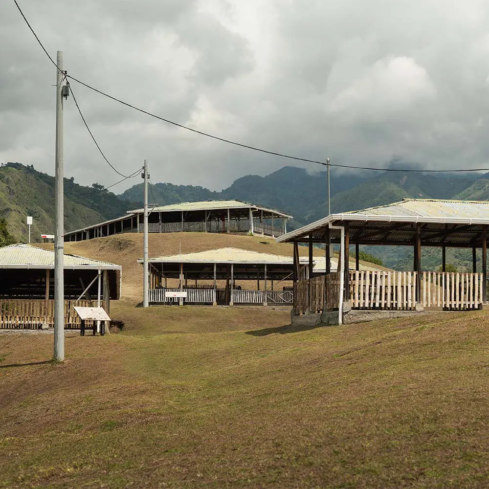 Tierradentro: un patrimonio colombiano que conserva los secretos de una civilización perdida Tierradentro: un patrimonio colombiano que conserva los secretos de una civilización perdida