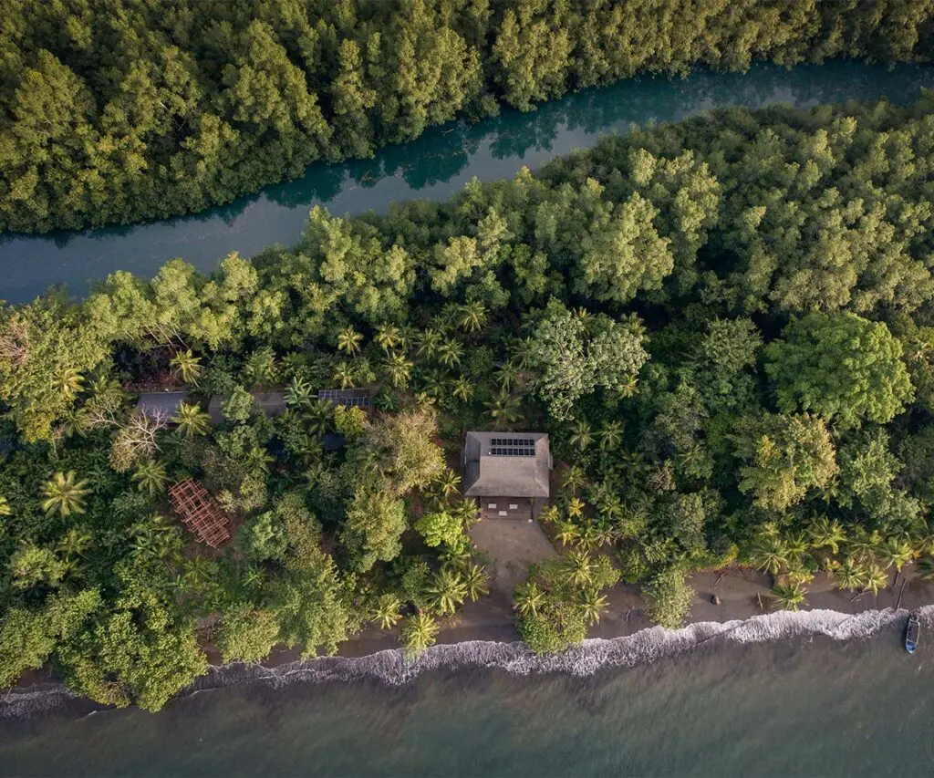 ¿lo ha visitado? El resort en el choco, una experiencia sostenible inmersa en el mar y la selva ¿lo ha visitado? El resort en el choco, una experiencia sostenible inmersa en el mar y la selva