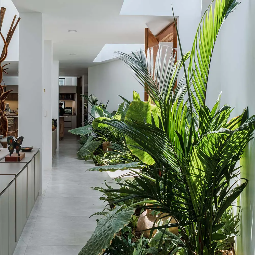 ¿vivir sin aire acondicionado? Descubra esta vivienda en risaralda diseñada con inteligencia bioclimática
