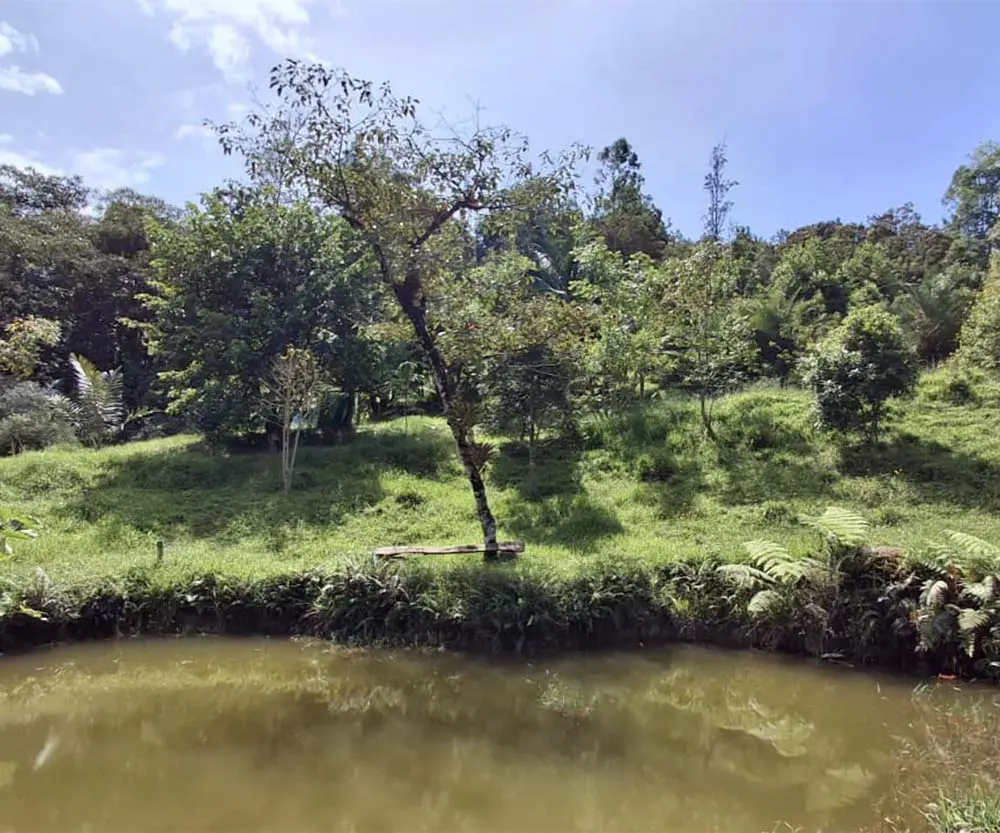 El paisaje como elemento importante en la arquitectura