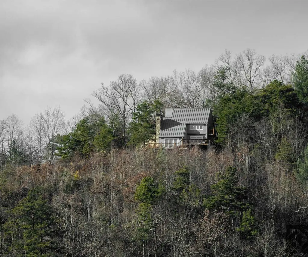 Arquitectura y restauracion de bosque nativo