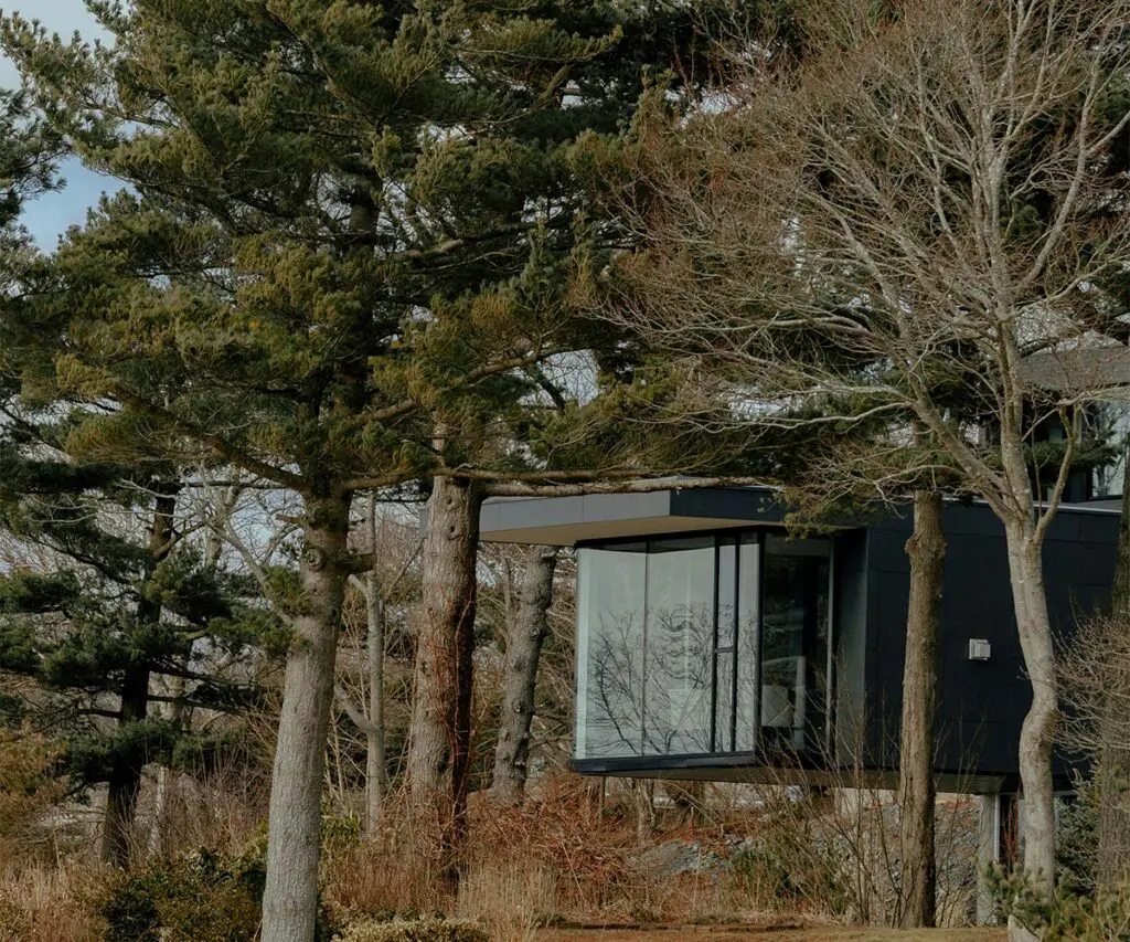 El paisaje como elemento fundamental en la arquitectura: así se restauro un bosque nativo