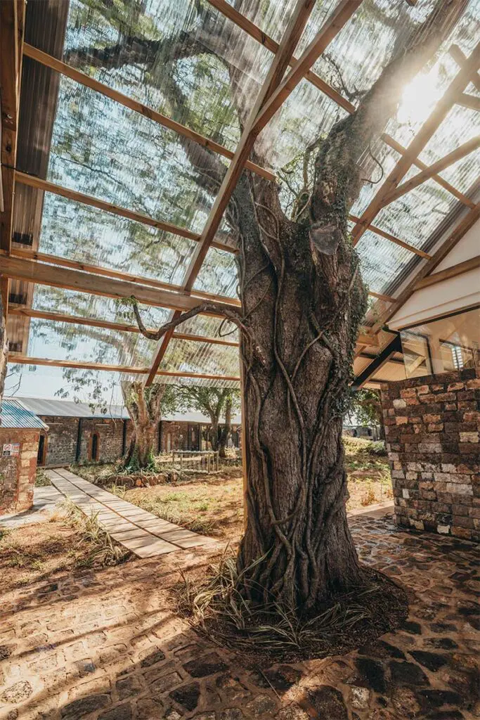 Este jardín infantil es un ejemplo de la buena arquitectura sostenible Este jardín infantil es un ejemplo de la buena arquitectura sostenible