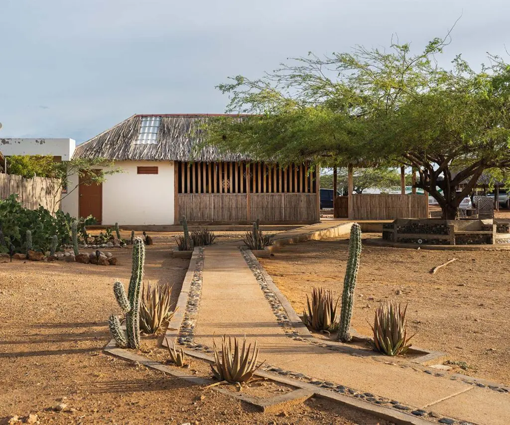 Construir con el viento, el sol y la memoria: la historia de ranchería utta, en la guajira Construir con el viento, el sol y la memoria: la historia de ranchería utta, en la guajira
