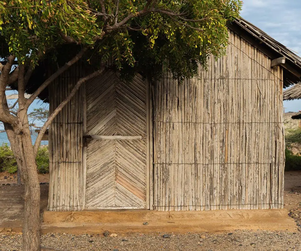 Construir con el viento, el sol y la memoria: la historia de ranchería utta, en la guajira Construir con el viento, el sol y la memoria: la historia de ranchería utta, en la guajira