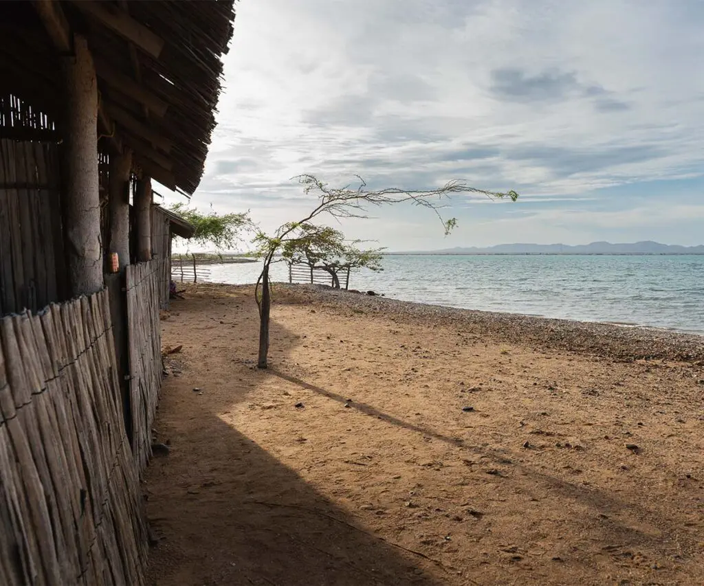 Construir con el viento, el sol y la memoria: la historia de ranchería utta, en la guajira Construir con el viento, el sol y la memoria: la historia de ranchería utta, en la guajira