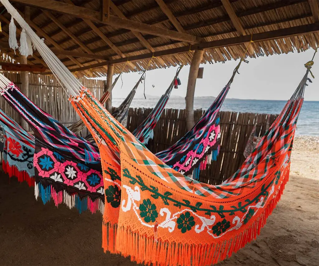 Construir con el viento, el sol y la memoria: la historia de ranchería utta, en la guajira La guajira, ranchería utta