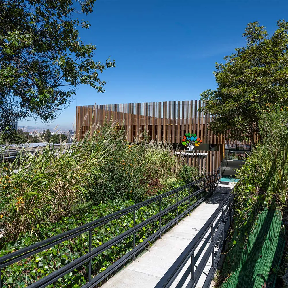 Un bosque para aprender y descubrir: el nuevo edificio del colegio gimnasio los cerros en bogotá
