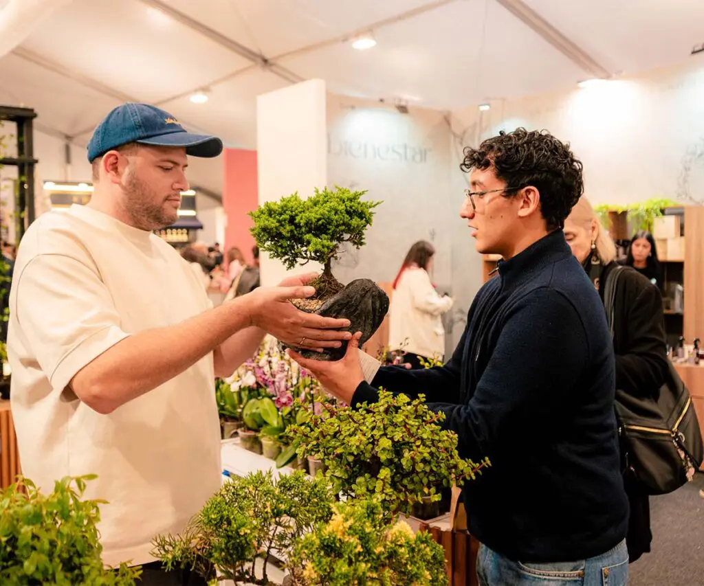 Así se vivió feria eva: un recorrido por las piezas, los objetos y el diseño colombiano Así se vivió feria eva: un recorrido por las piezas, los objetos y el diseño colombiano