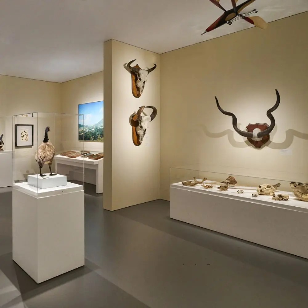 Así fue cómo una reconocida firma de los ángeles renovó un museo de arte, ciencia e historia