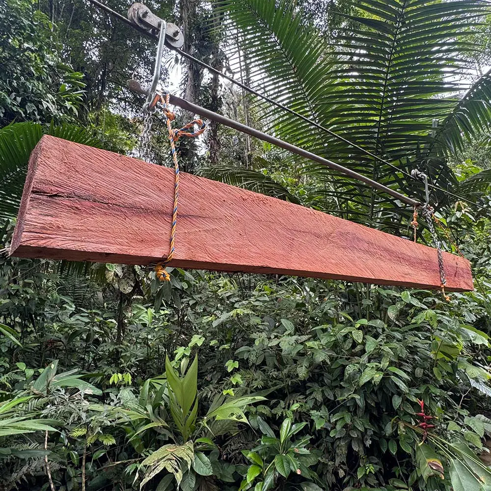 La historia de las comunidades afrodescendientes del chocó que transformaron el oficio de la madera La historia de las comunidades afrodescendientes del chocó que transformaron el oficio de la madera
