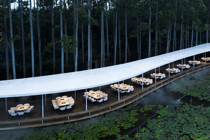En China construyeron un restaurante alrededor de árboles para no talarlos