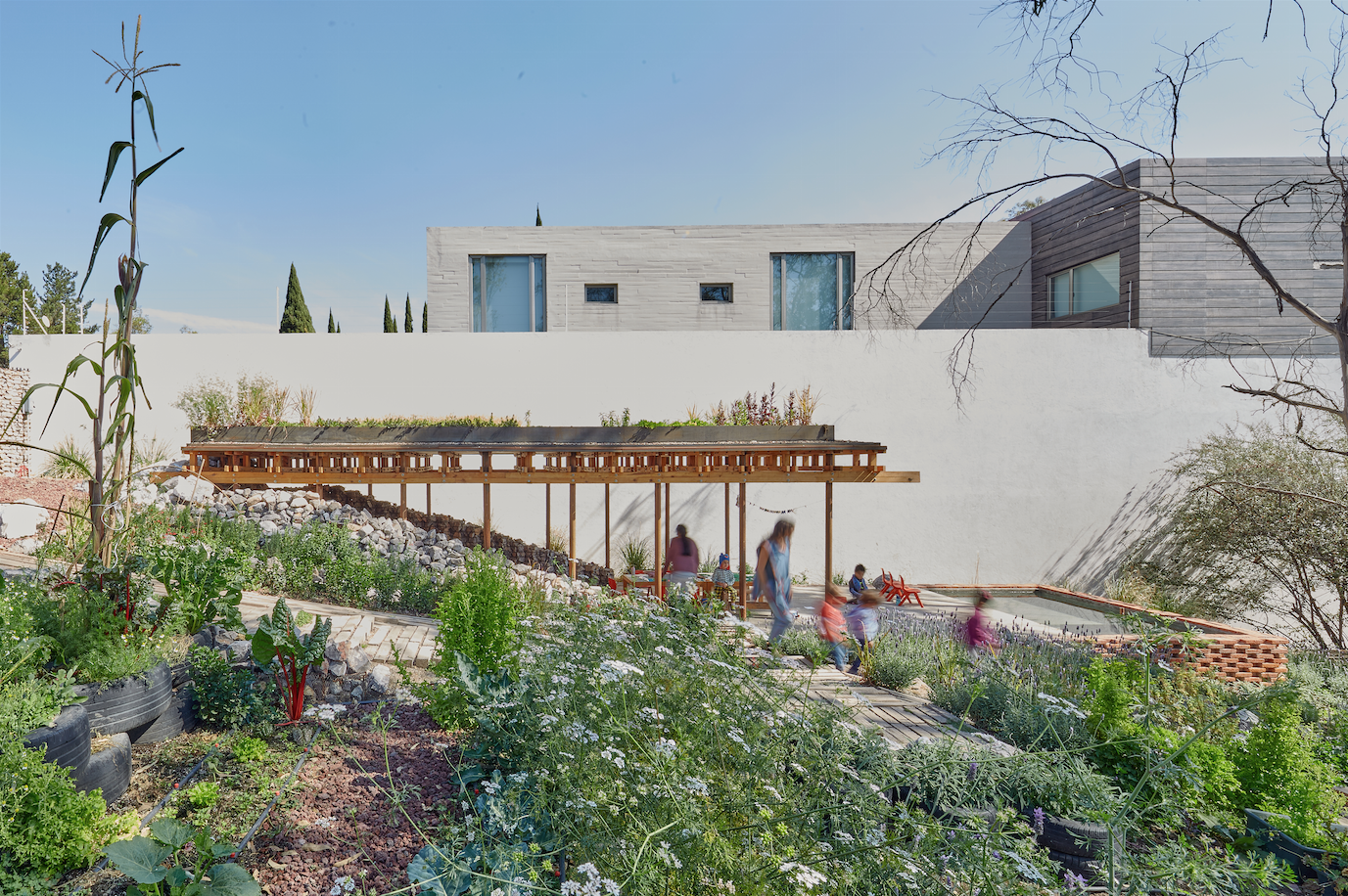 Un jardín comunitario que está cambiando vidas en México