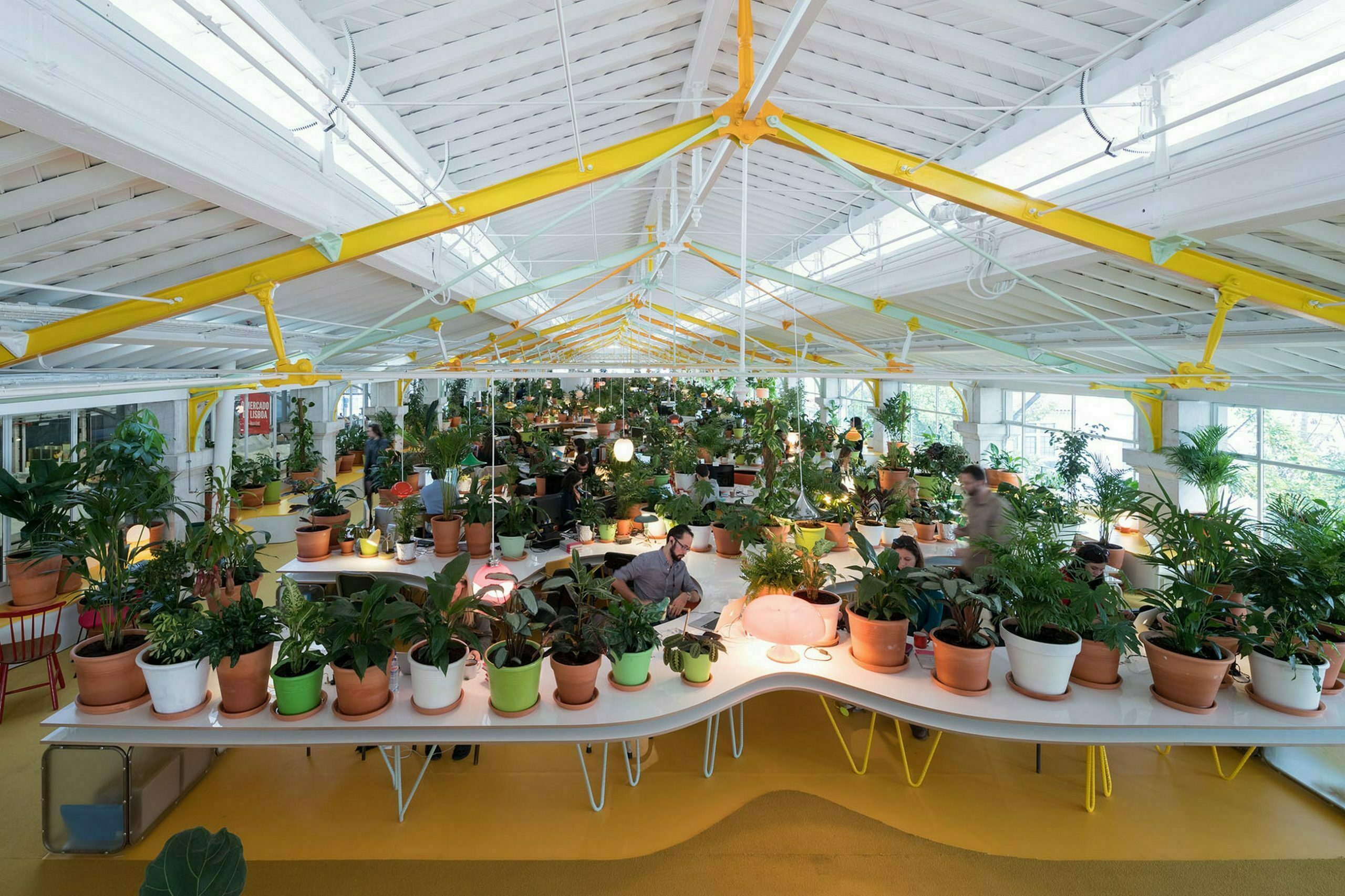 Una oficina creativa con más de 1.000 plantas y árboles en su interior