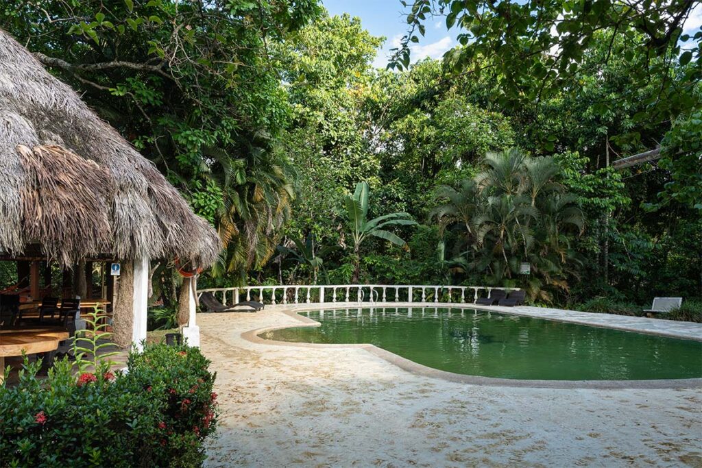Cabañas entre el agua y los árboles: el origen de Posada Amazonía 7 Posada Amazonia 2 Cabañas entre el agua y los árboles: el origen de Posada Amazonía