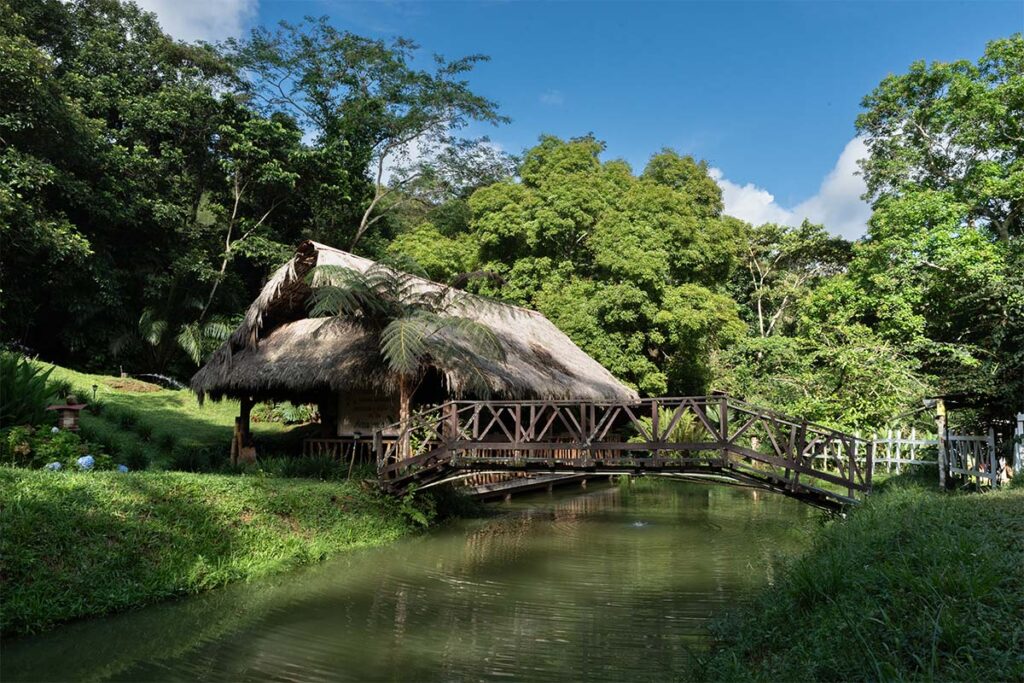 Cabañas entre el agua y los árboles: el origen de Posada Amazonía 3 Posada Amazonía