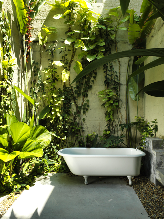 2425paisajismo_axxis_honda_221