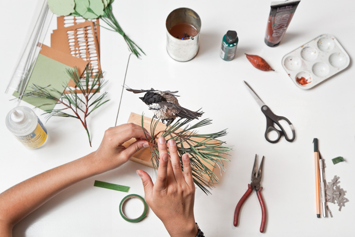 8304diana_beltran_axxis_8317