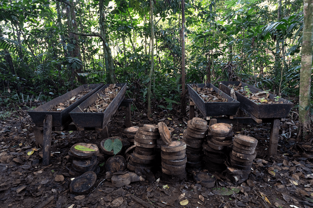 La casa en la que las mujeres indígenas del putumayo gestan la paz