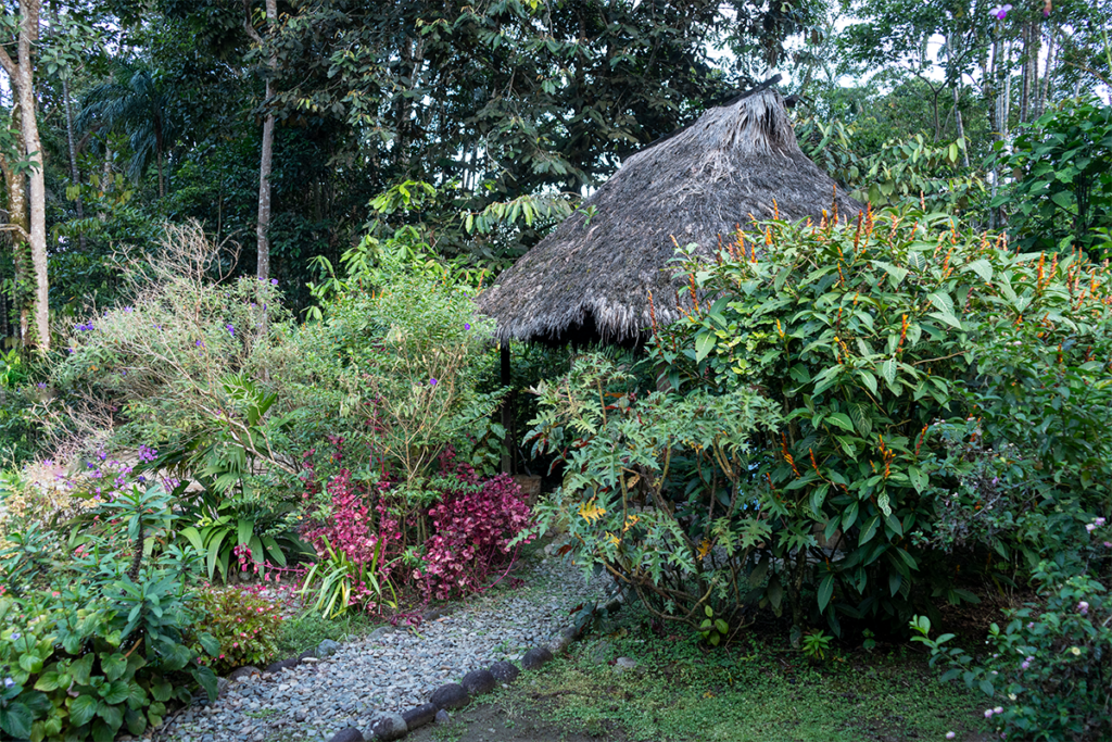 La casa en la que las mujeres indígenas del putumayo gestan la paz
