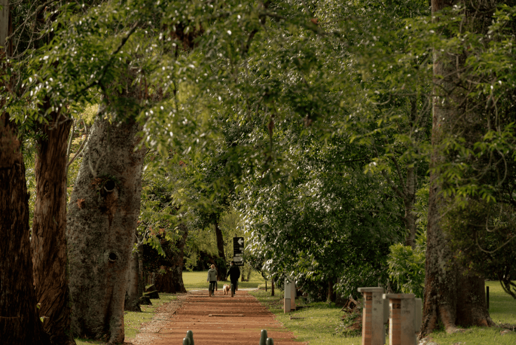 Viva como en una hacienda campestre en estos apartamentos de llanogrande, antioquia