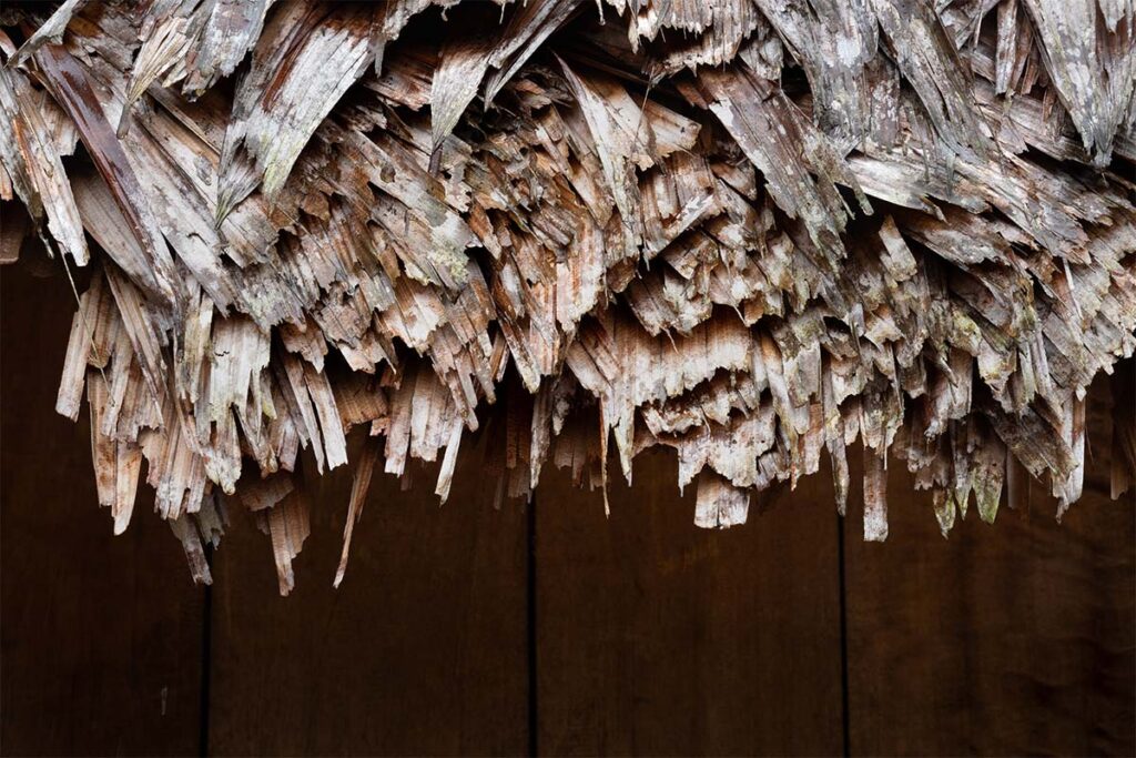 Tejer sentimientos: la maloca andoque como refugio de la memoria en caquetá