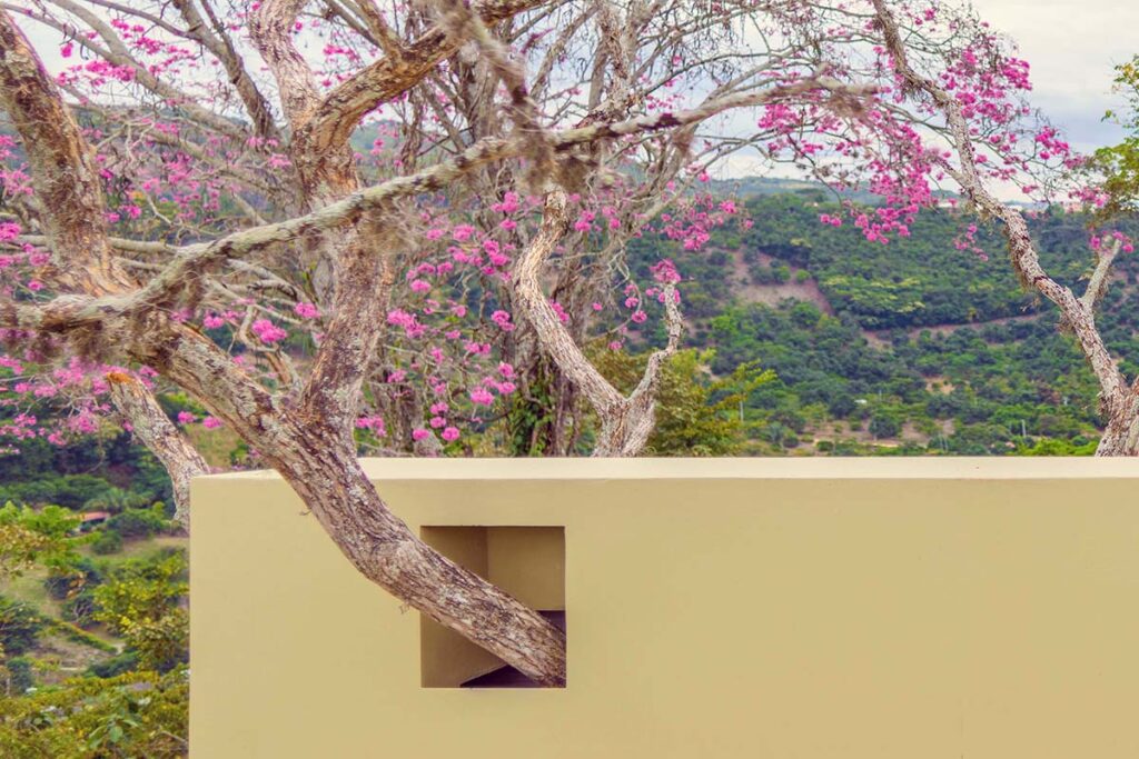 Minimalismo tropical en esta casa ubicada en anapoima