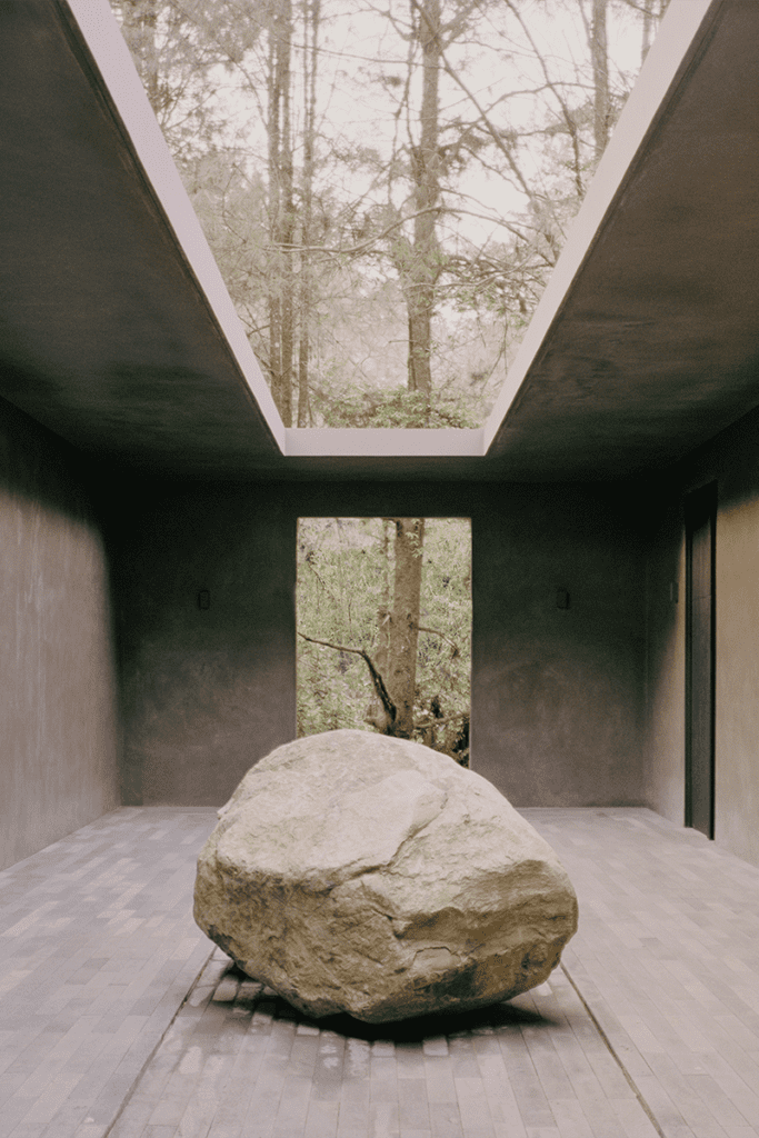 Una casa escondida en medio del bosque en ciudad de méxico 