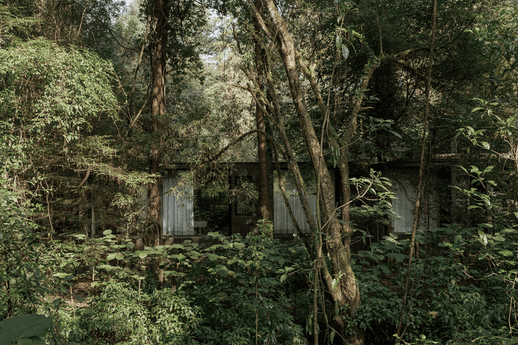 Una casa escondida en medio del bosque en ciudad de méxico 