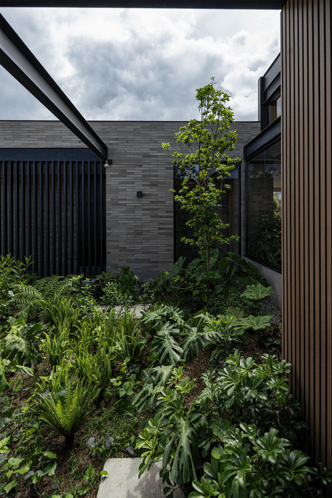 Por su forma en h, la vida en esta casa en antioquia transcurre entre patios