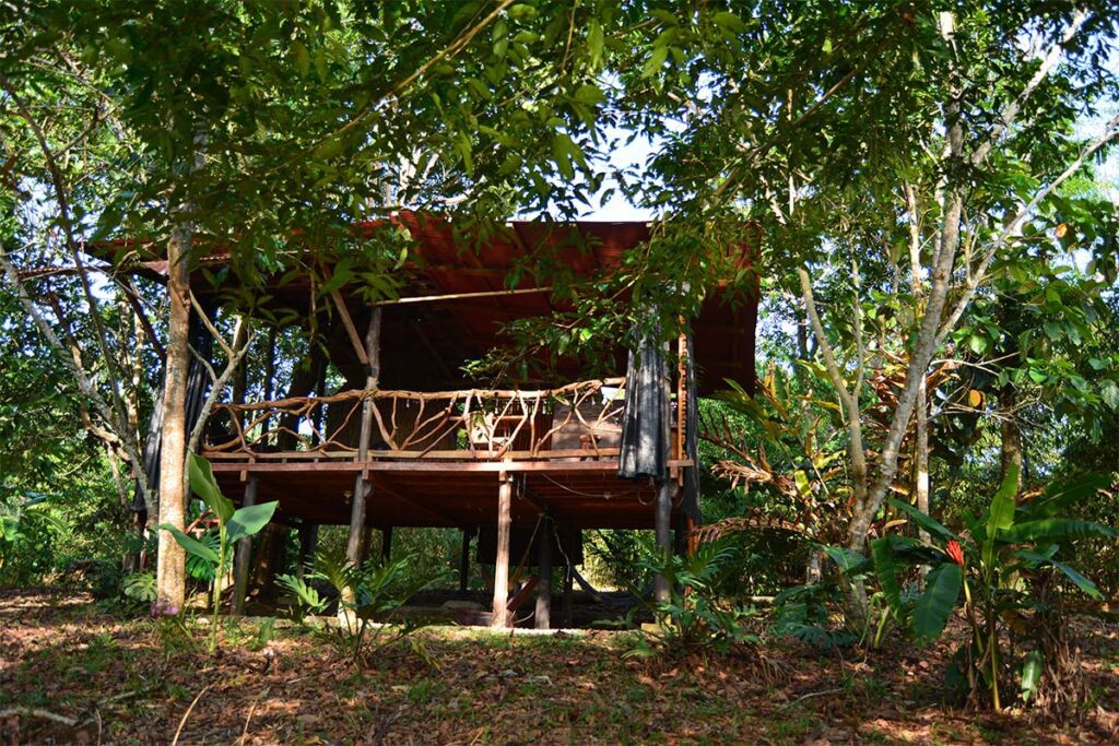 Un hospedaje indígena en el putumayo con una arquitectura inspirada en lo ancestral