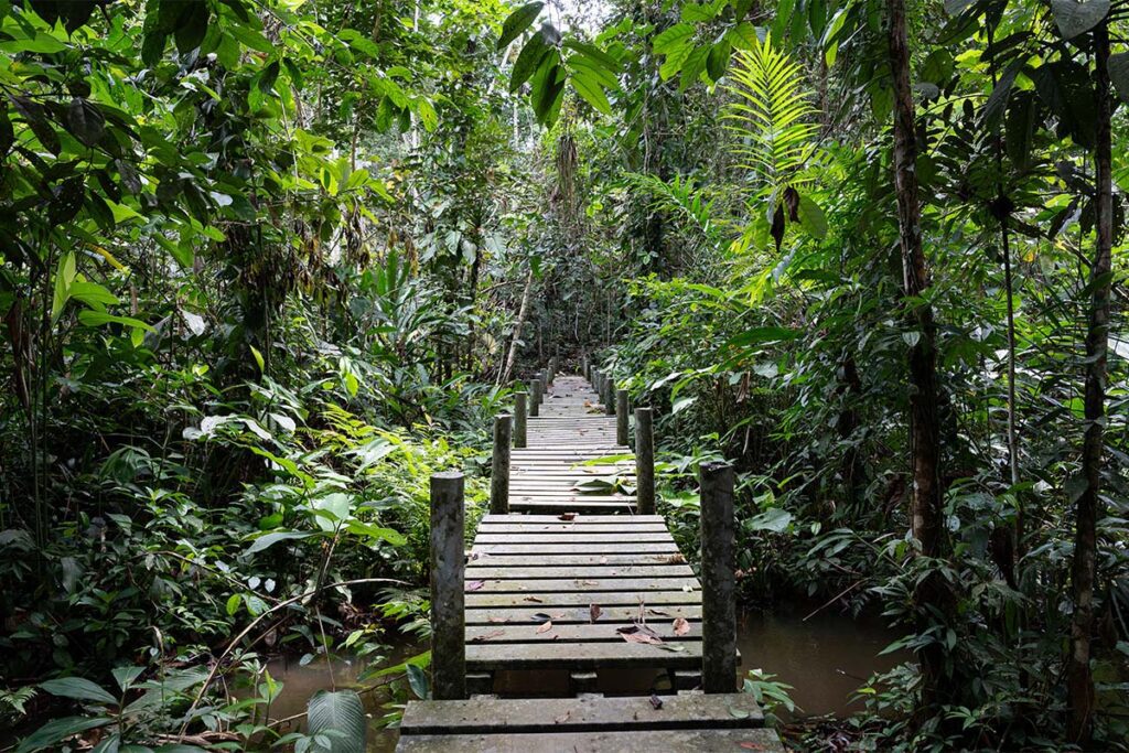Un hospedaje indígena en el putumayo con una arquitectura inspirada en lo ancestral