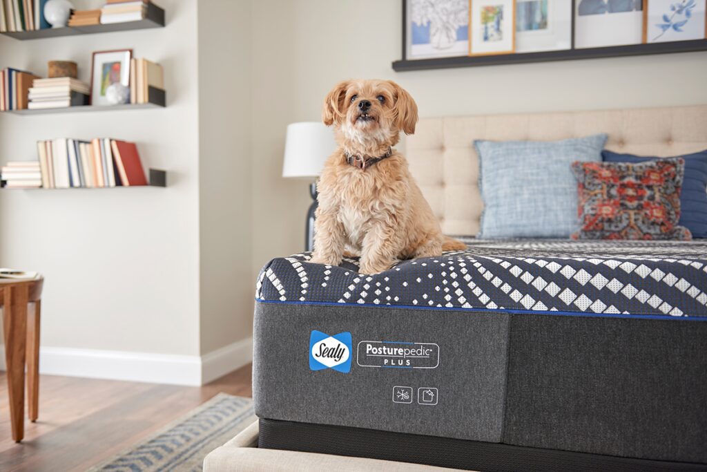 Más de un siglo definiendo el descanso moderno