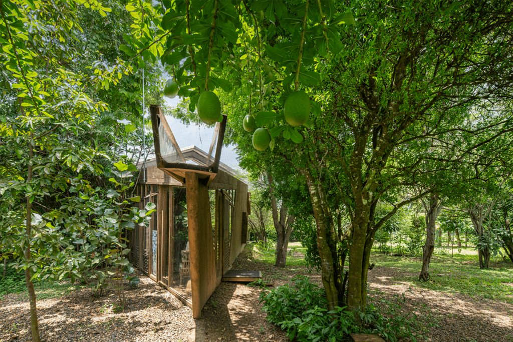 Estos son los macroproyectos que redefinen el caribe colombiano Estos son los macroproyectos que redefinen el caribe colombiano