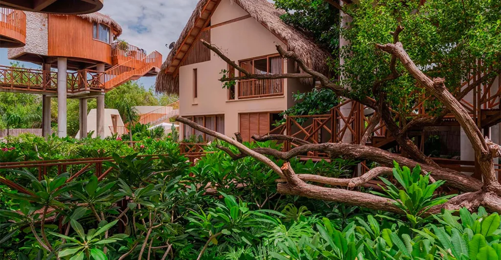 Curar espacios: el paisajismo de greenfield brinda emoción y estética