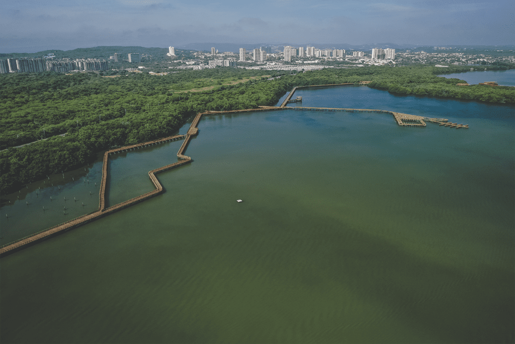 El ecoparque ciénaga de mallorquín en barranquilla es un lugar para el encuentro