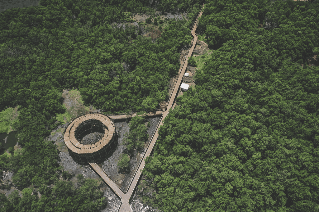 El ecoparque ciénaga de mallorquín en barranquilla es un lugar para el encuentro