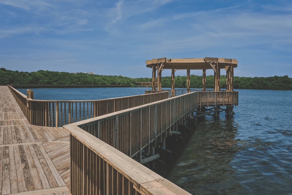 El ecoparque ciénaga de mallorquín en barranquilla es un lugar para el encuentro