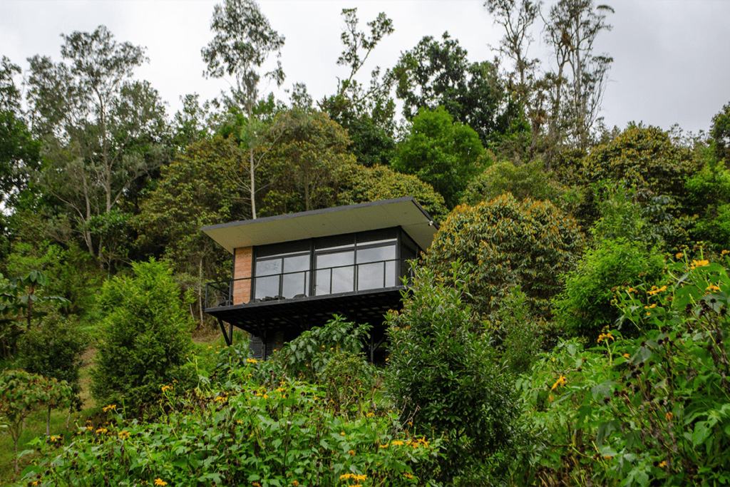 Piezas con un diseño innovador que mejoran la vida cotidiana