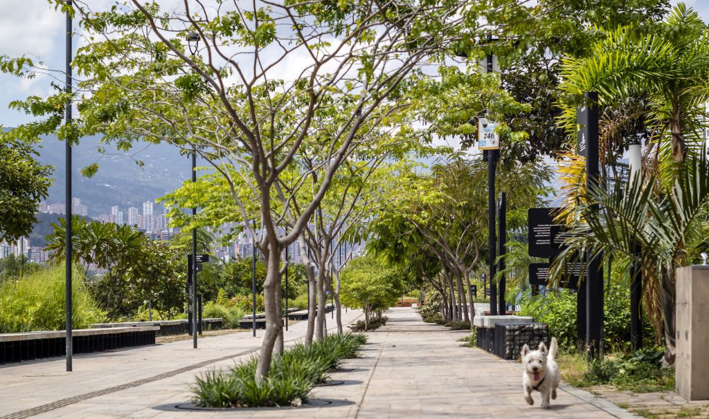 La clave para construir ciudades colombianas saludables es reinventar el espacio público