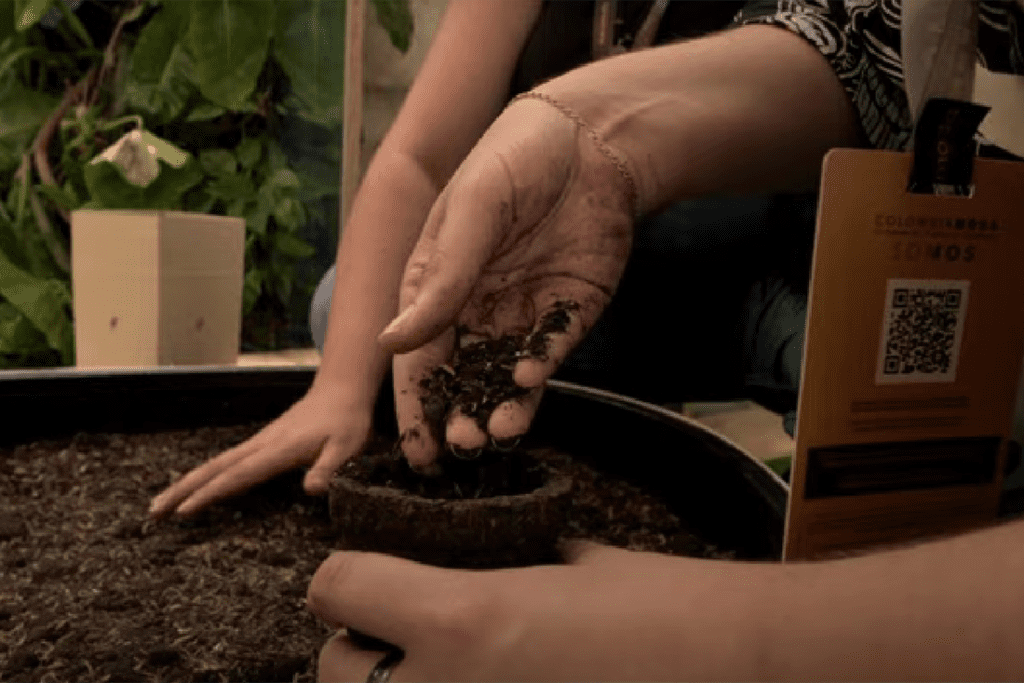 La arquitectura del estand renovable creado por inter rapidísimo para colombiamoda 2024