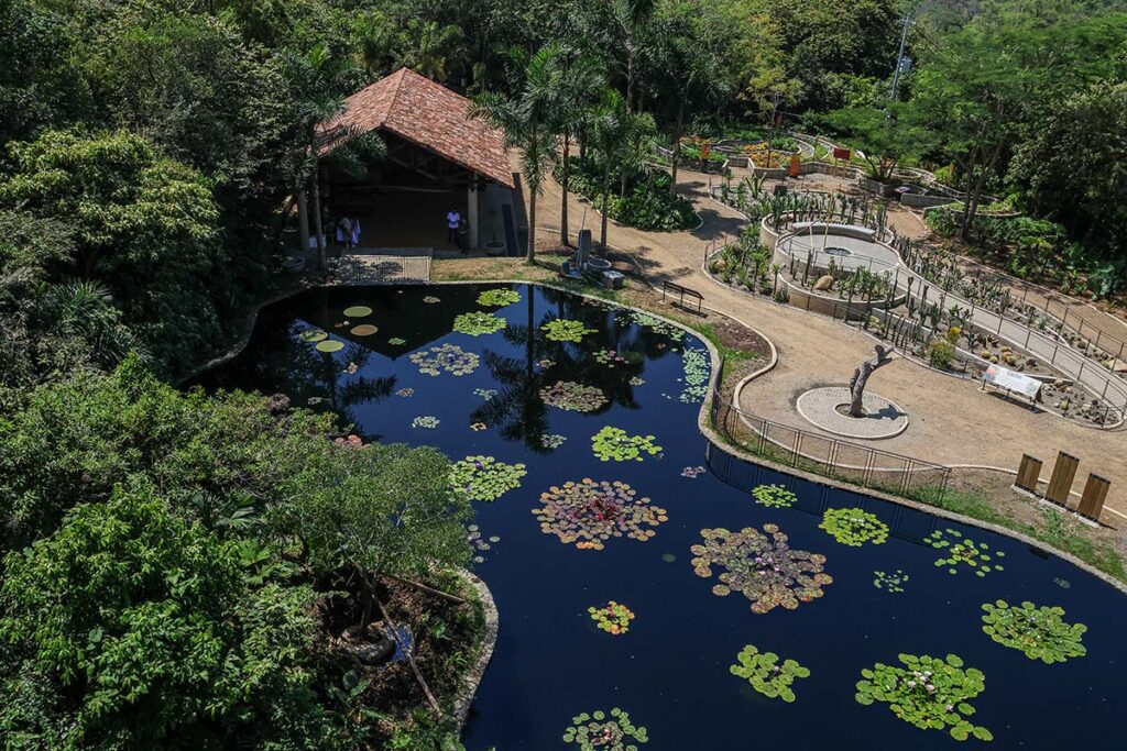 Simón vélez y la arquitectura de jardín botánico de cali