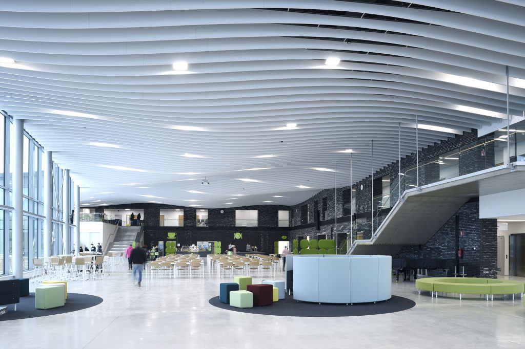 Tips para adecuar la oficina y aumentar la concentración y productividad