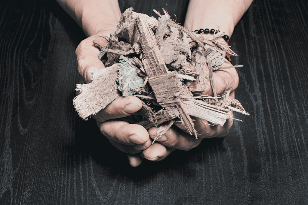 Primadera, una empresa que demuestra cómo usar la madera de forma sostenible